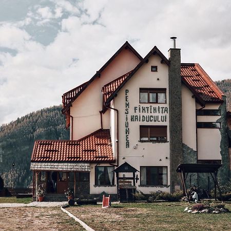 Pensiunea Fantanita Haiducului Ciungetu Extérieur photo